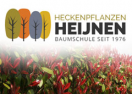 heckenpflanzen-heijnen.de