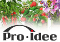 Proidee.de